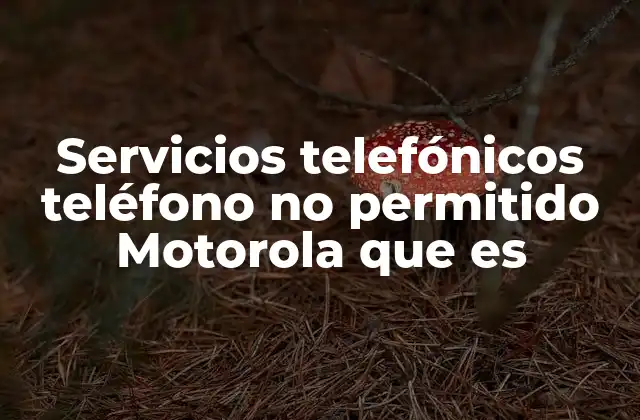 ¿Cómo afecta este mensaje al uso diario del teléfono?