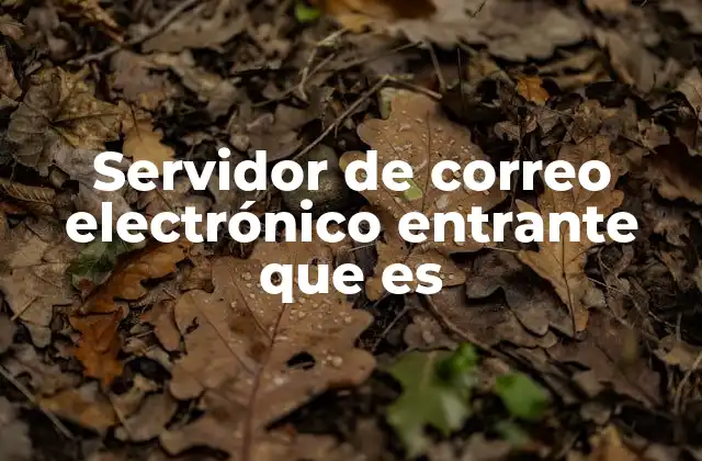 Servidor de Correo Electrónico Entrante que es