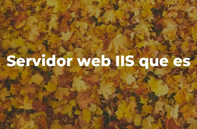 Servidor Web Iis que es
