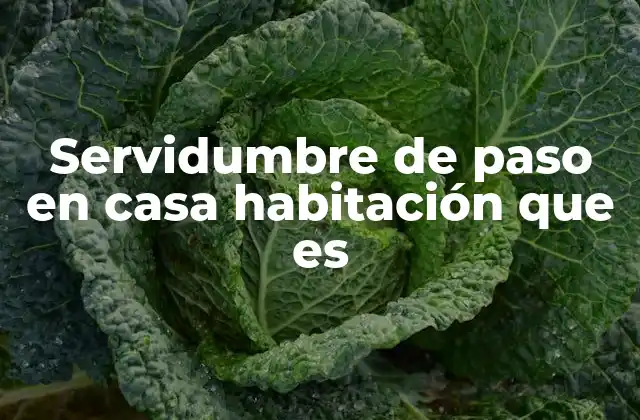 ¿Cómo afecta una servidumbre de paso al dueño de una casa habitacional?