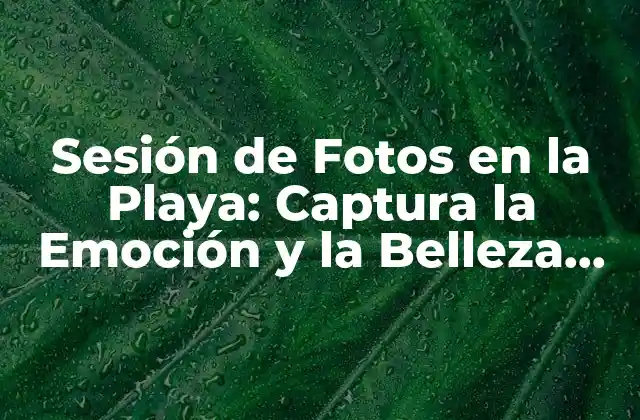 Sesión de Fotos en la Playa: Captura la Emoción y la Belleza Del Lugar