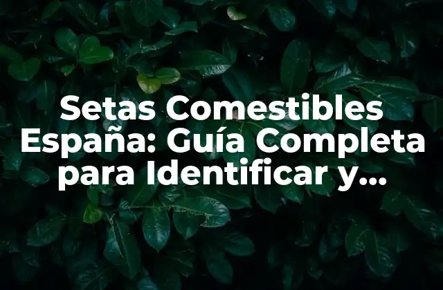 Setas Comestibles España: Guía Completa para Identificar y Disfrutar