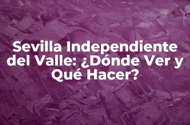 Sevilla Independiente Del Valle: ¿dónde Ver y Qué Hacer? 2 ¿Qué es Sevilla Independiente del Valle?