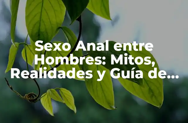 Sexo Anal entre Hombres: Mitos, Realidades y Guía de Salud