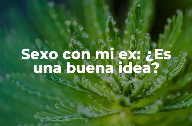 Sexo con Mi Ex: ¿es una Buena Idea?