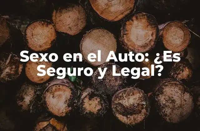 Sexo en el Auto: ¿es Seguro y Legal?