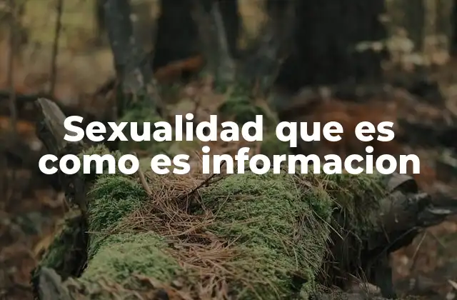 Sexualidad que es como es Informacion 2 La importancia de comprender la sexualidad en la sociedad actual
