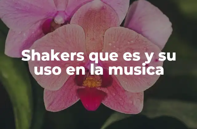 Shakers que es y Su Uso en la Musica