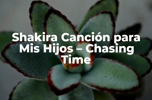 Shakira Canción para Mis Hijos – Chasing Time