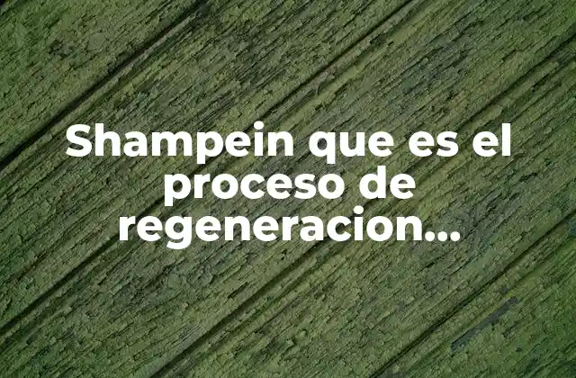 Shampein que es el Proceso de Regeneracion Administrativa