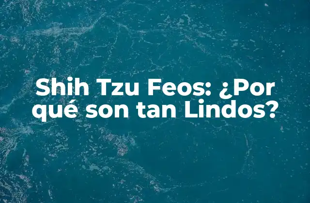 Shih Tzu Feos: ¿por Qué Son Tan Lindos?