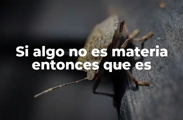 Si Algo No es Materia Entonces que es