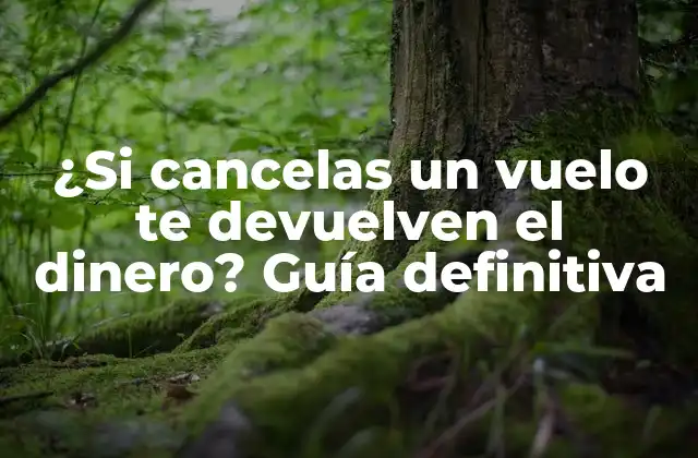 ¿si Cancelas un Vuelo Te Devuelven el Dinero? Guía Definitiva