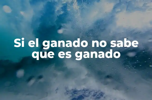Si el Ganado No Sabe que es Ganado 2 La falta de autoconocimiento y sus implicaciones