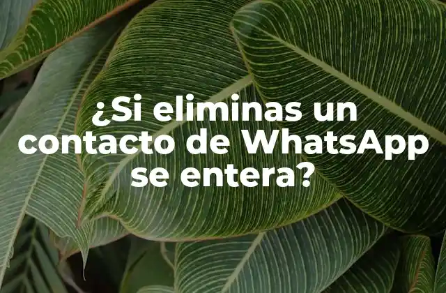 ¿si Eliminas un Contacto de Whatsapp Se Entera? 2 ¿Cómo funcionan los contactos en WhatsApp?