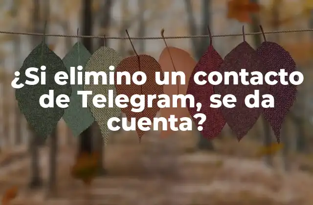¿si Elimino un Contacto de Telegram, Se Da Cuenta? 2 ¿Cómo funciona la privacidad en Telegram?