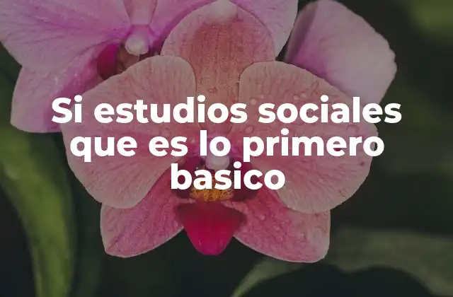 La importancia de introducir los estudios sociales desde el primer nivel escolar