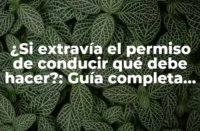 ¿si Extravía el Permiso de Conducir Qué Debe Hacer?: Guía Completa para Recuperar Tu Licencia de Conducir