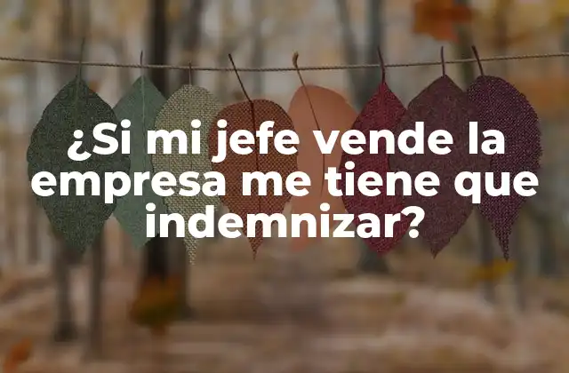 ¿si Mi Jefe Vende la Empresa Me Tiene que Indemnizar?