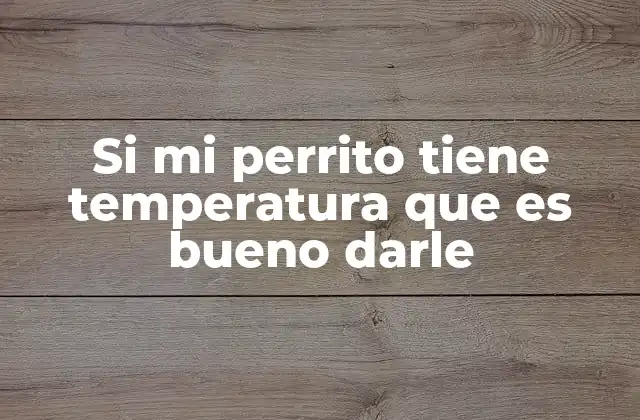 Si Mi Perrito Tiene Temperatura que es Bueno Darle