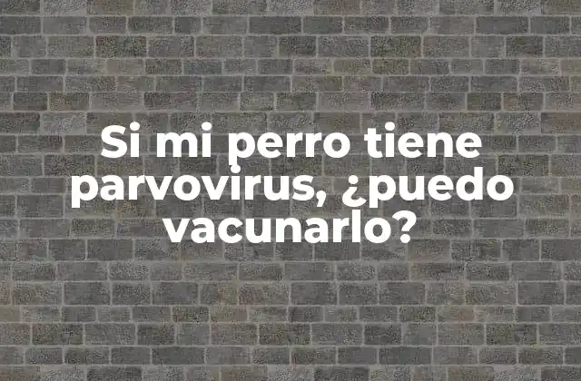 ¿Qué es el parvovirus canino?