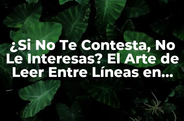 ¿si No Te Contesta, No Le Interesas? el Arte de Leer entre Líneas en las Relaciones