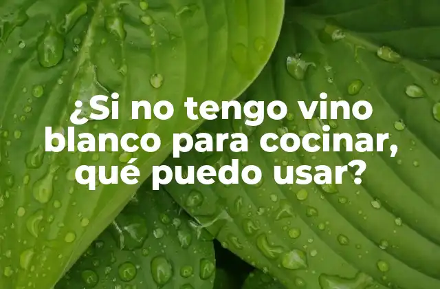¿si No Tengo Vino Blanco para Cocinar, Qué Puedo Usar?