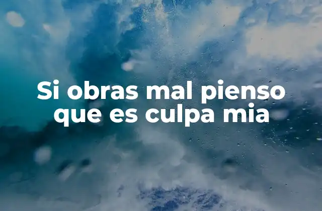 Si Obras Mal Pienso que es Culpa Mia