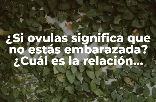¿si Ovulas Significa que No Estás Embarazada? ¿cuál es la Relación entre Ovulación y Embarazo?