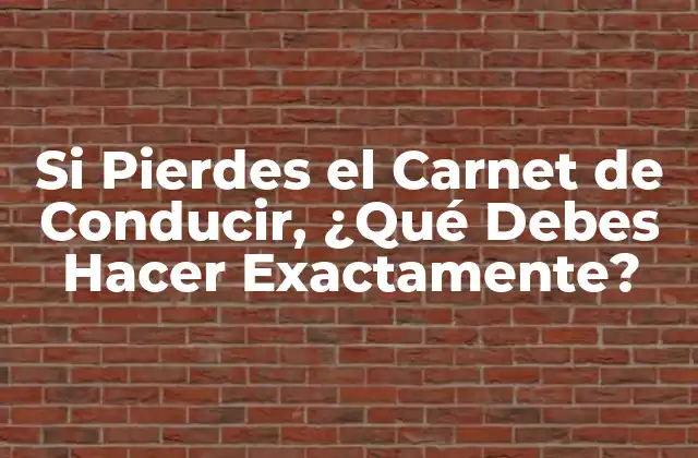 Si Pierdes el Carnet de Conducir, ¿qué Debes Hacer Exactamente?