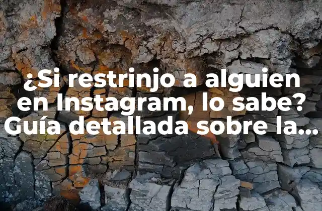 ¿si Restrinjo a Alguien en Instagram, Lo Sabe? Guía Detallada sobre la Restricción en Instagram