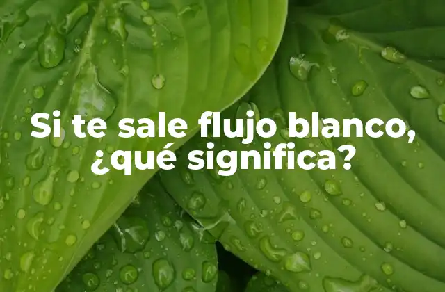 Si Te Sale Flujo Blanco, ¿qué Significa?