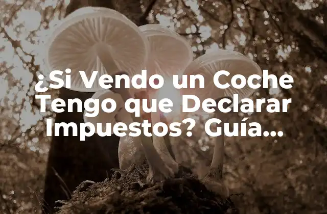 ¿si Vendo un Coche Tengo que Declarar Impuestos? Guía Definitiva