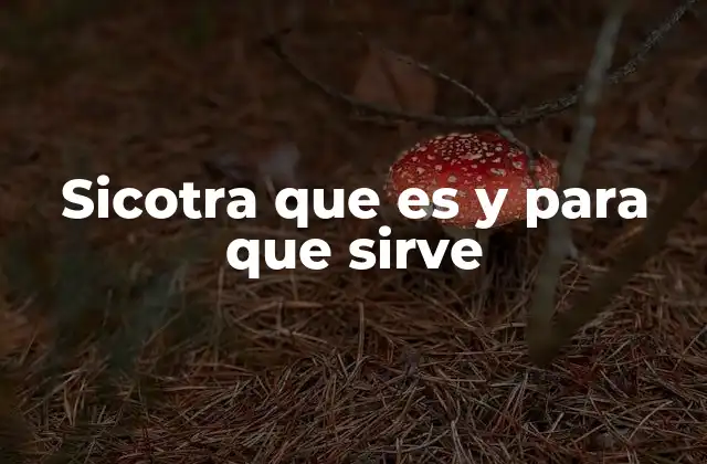 Sicotra que es y para que Sirve