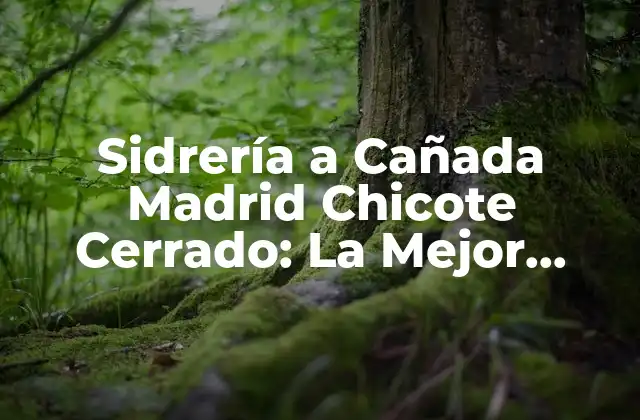 Sidrería a Cañada Madrid Chicote Cerrado: la Mejor Opción para Disfrutar de la Tradición Asturiana