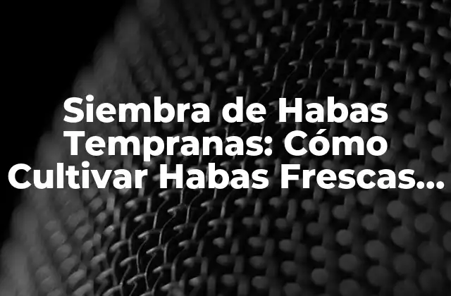 Siembra de Habas Tempranas: Cómo Cultivar Habas Frescas en Tu Jardín