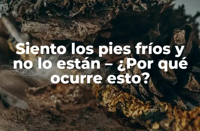 Siento los Pies Fríos y No Lo Están – ¿por Qué Ocurre Esto?