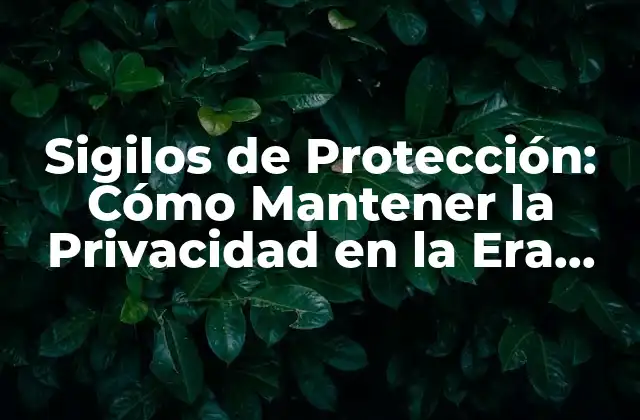 Sigilos de Protección: Cómo Mantener la Privacidad en la Era Digital 2 ¿Qué son los Sigilos de Protección?
