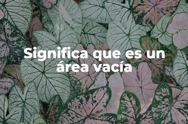 Espacios sin contenido y sus interpretaciones