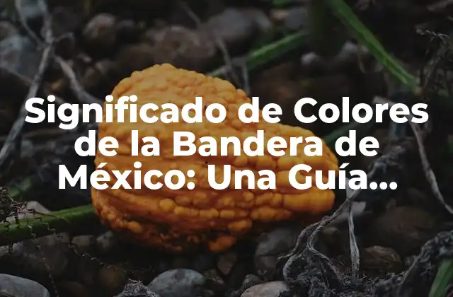 Significado de Colores de la Bandera de México: una Guía Completa