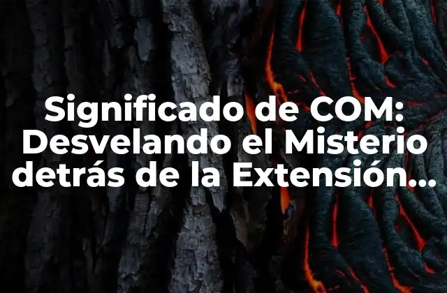 Significado de Com: Desvelando el Misterio Detrás de la Extensión de Archivos