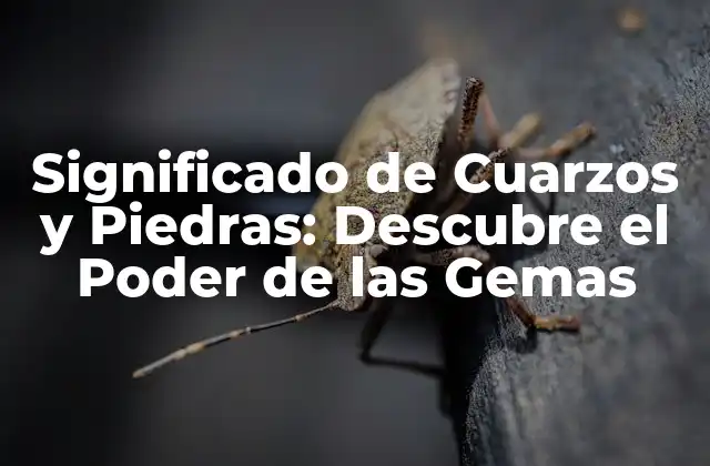 Significado de Cuarzos y Piedras: Descubre el Poder de las Gemas