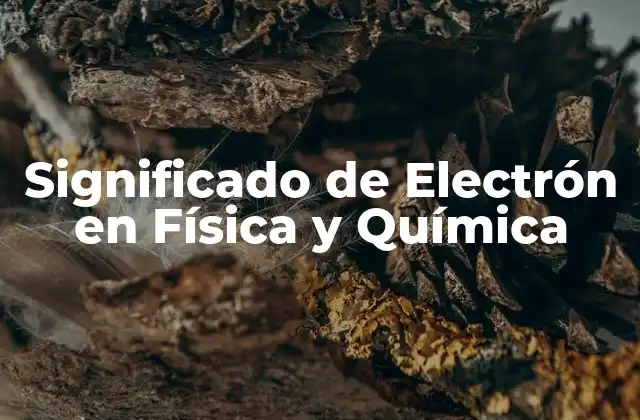 Significado de Electrón en Física y Química