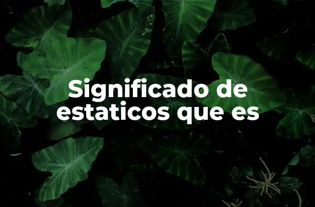 El uso de estáticos en diferentes contextos