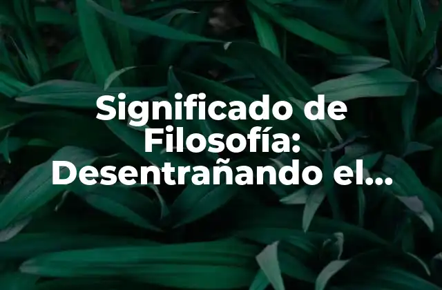 ¿Qué es la Filosofía?