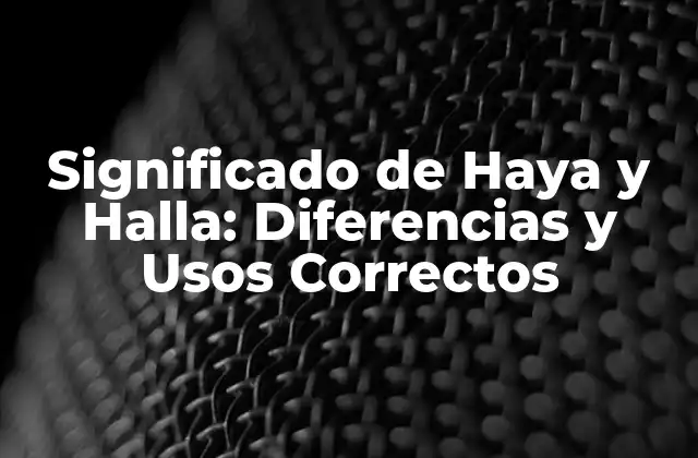 Significado de Haya y Halla: Diferencias y Usos Correctos