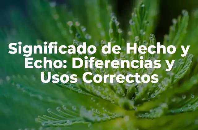 Significado de Hecho y Echo: Diferencias y Usos Correctos