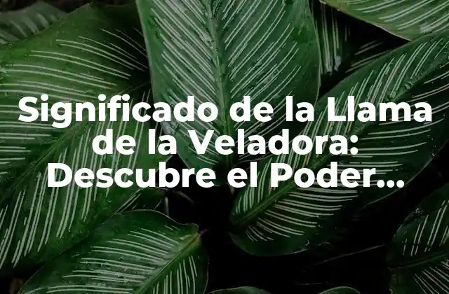 Significado de la Llama de la Veladora: Descubre el Poder Simbólico