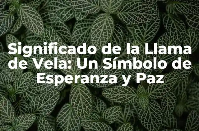 Significado de la Llama de Vela: un Símbolo de Esperanza y Paz