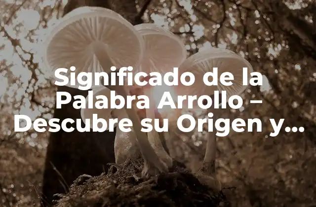 Significado de la Palabra Arrollo – Descubre Su Origen y Uso